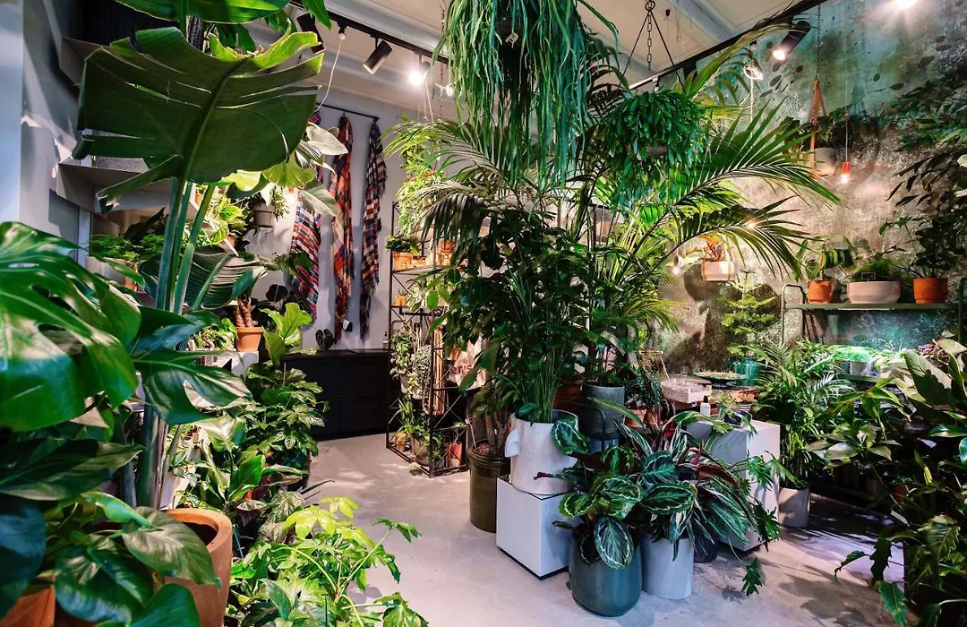 Daen'S Greenhouse-1