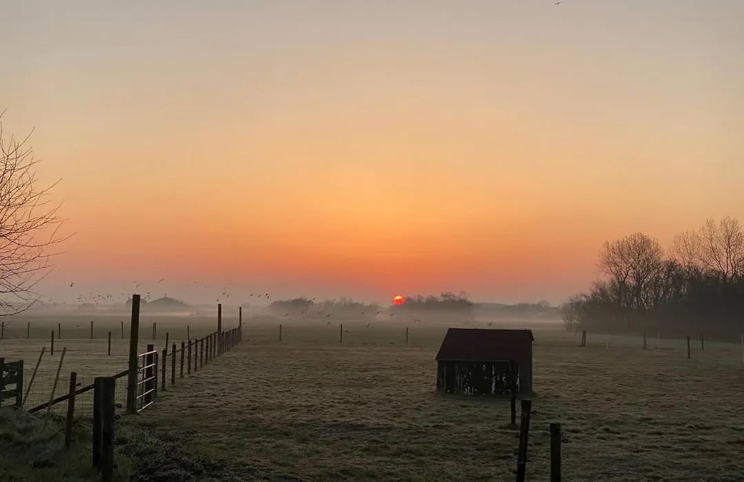 Logies Boszicht Texel-1