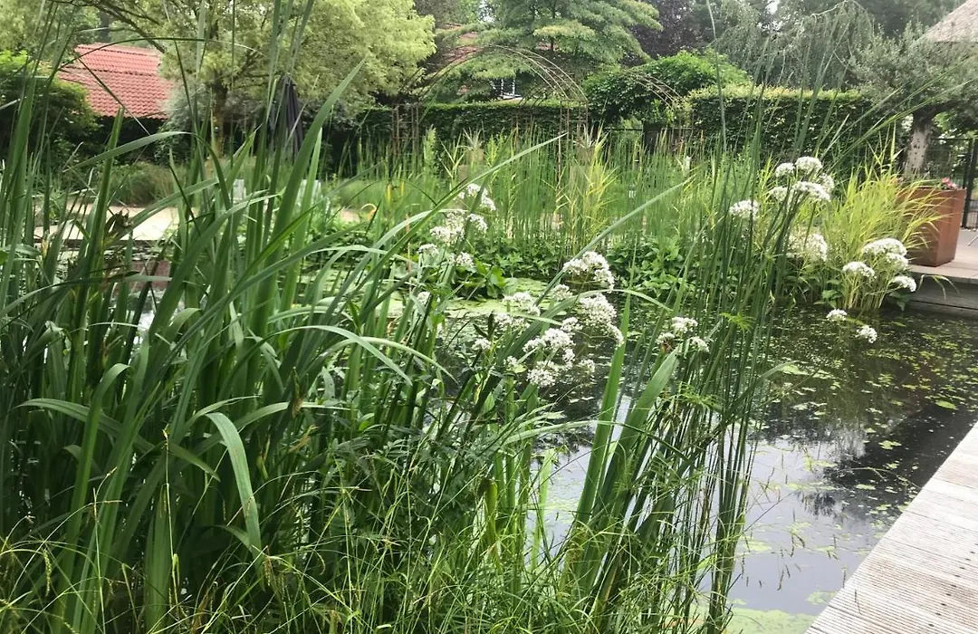 B&B. Het Hunebed Rolde-1