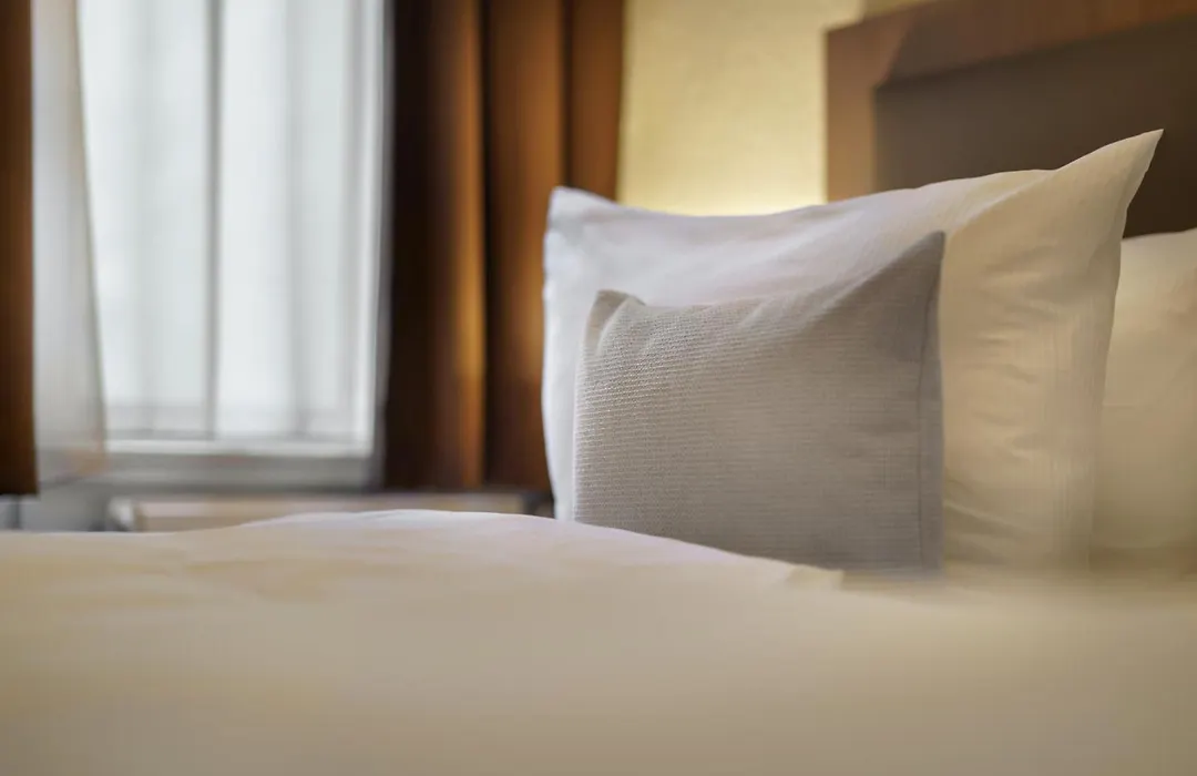 Hotel Alster-1