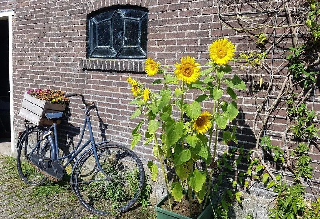 Het Voorhuis boerderij Hoeve Vrede Best-1