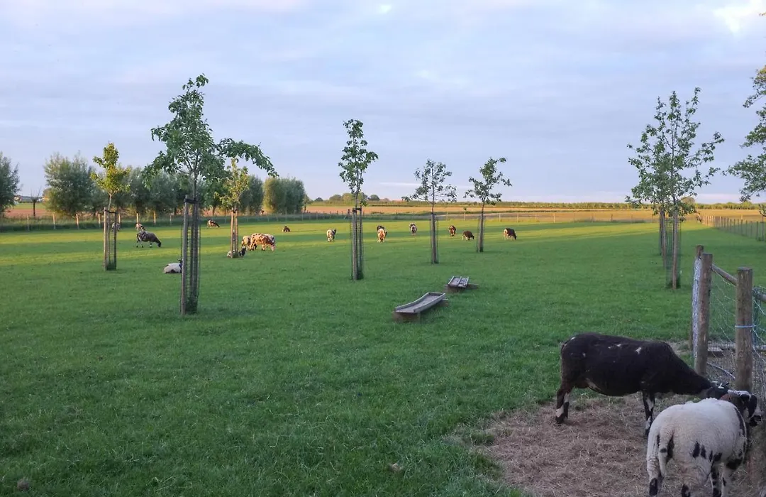 De Nachtdijk-1