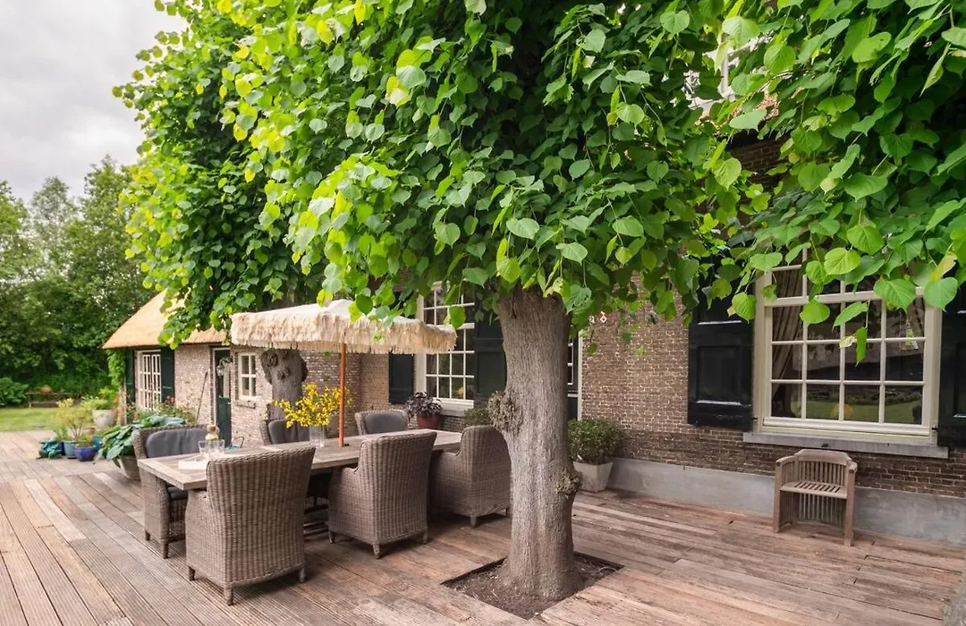 Filion'S Place-1