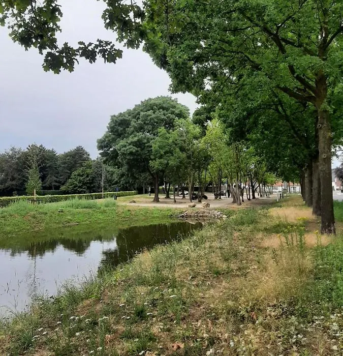 B&B De Goede Tijd-1