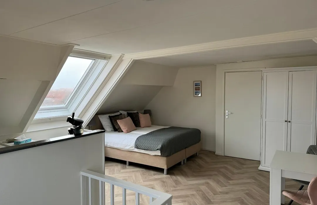 B&B Binisa-1