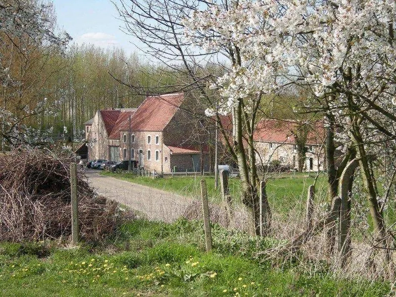 De Verborgen Parel-1