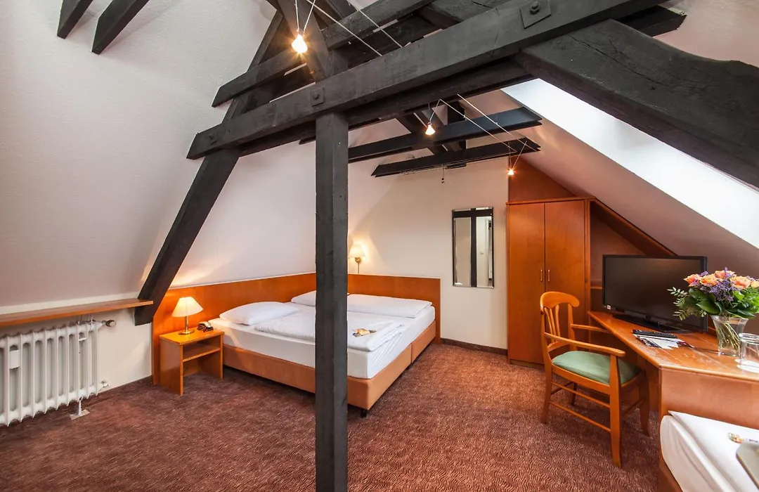 Hotel Ahl Meerkatzen-1