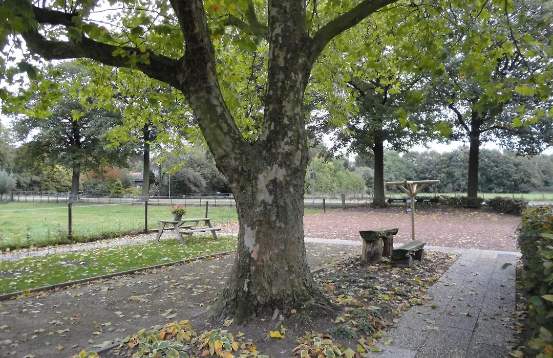 B&B De Willemshoeve-1