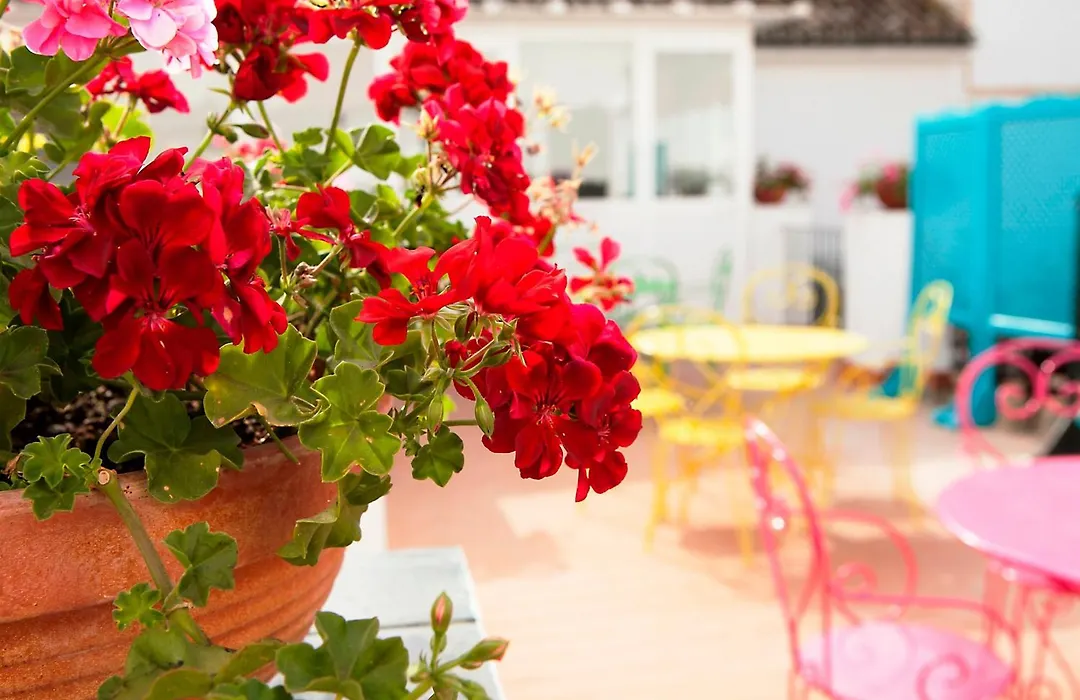 Casual De Las Letras Sevilla By Casual Hoteles-1