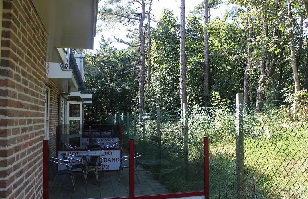 Hotel Studio Bosch Duin Strand-1