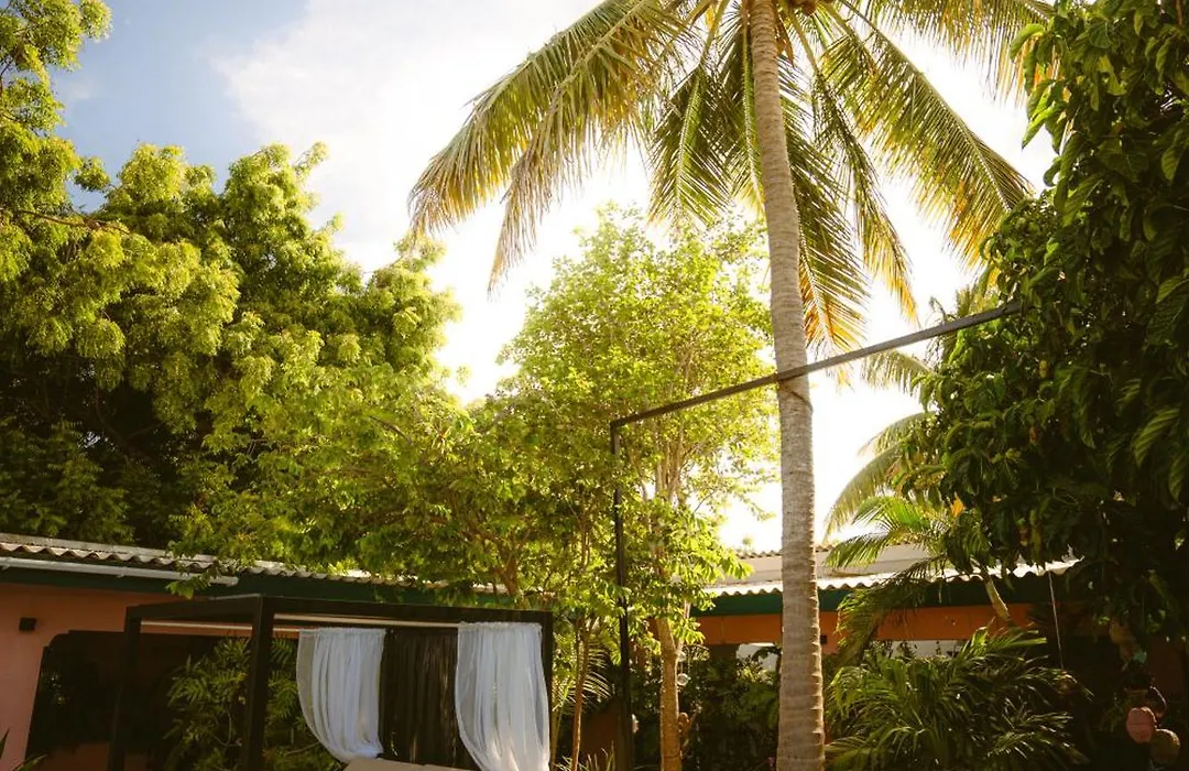 Thuishaven - Boutique Mini-Resort (Adults Only)-1