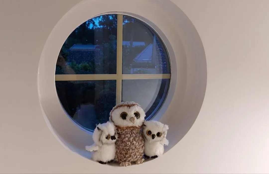 B&B De Drie Uiltjes-1