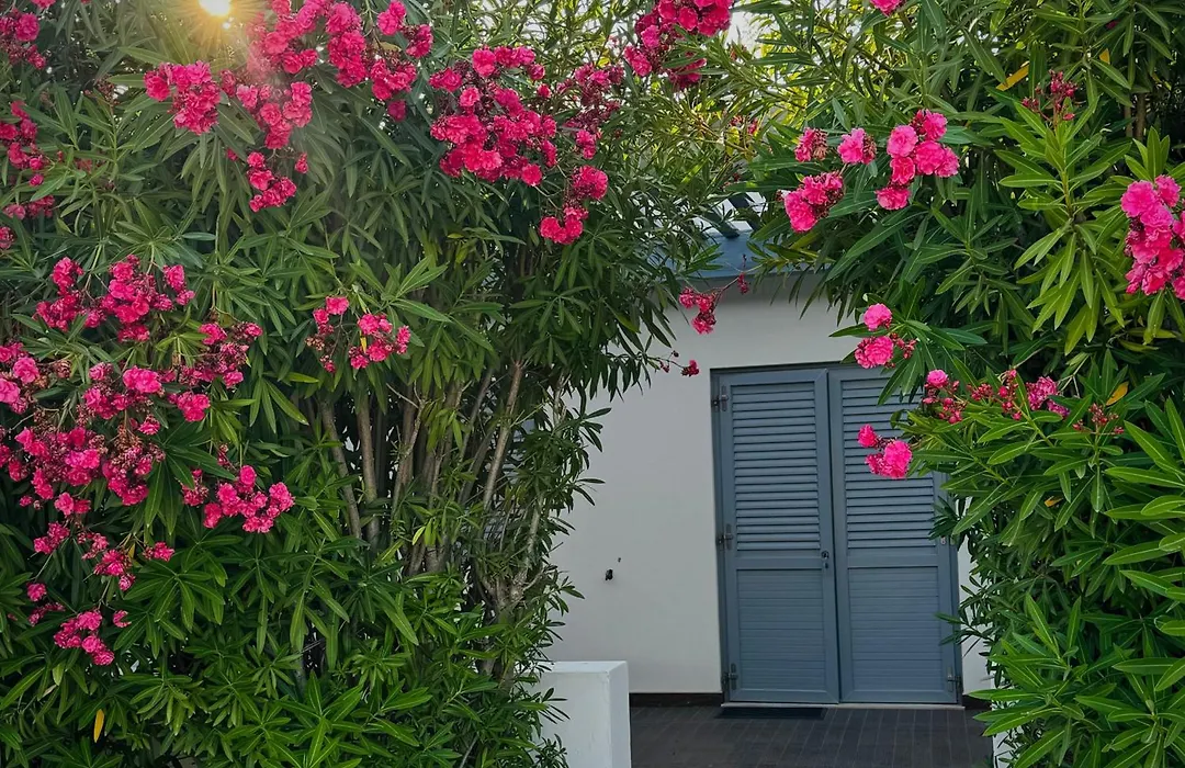 Baia Sangiorgio Hotel & Beach Club-1
