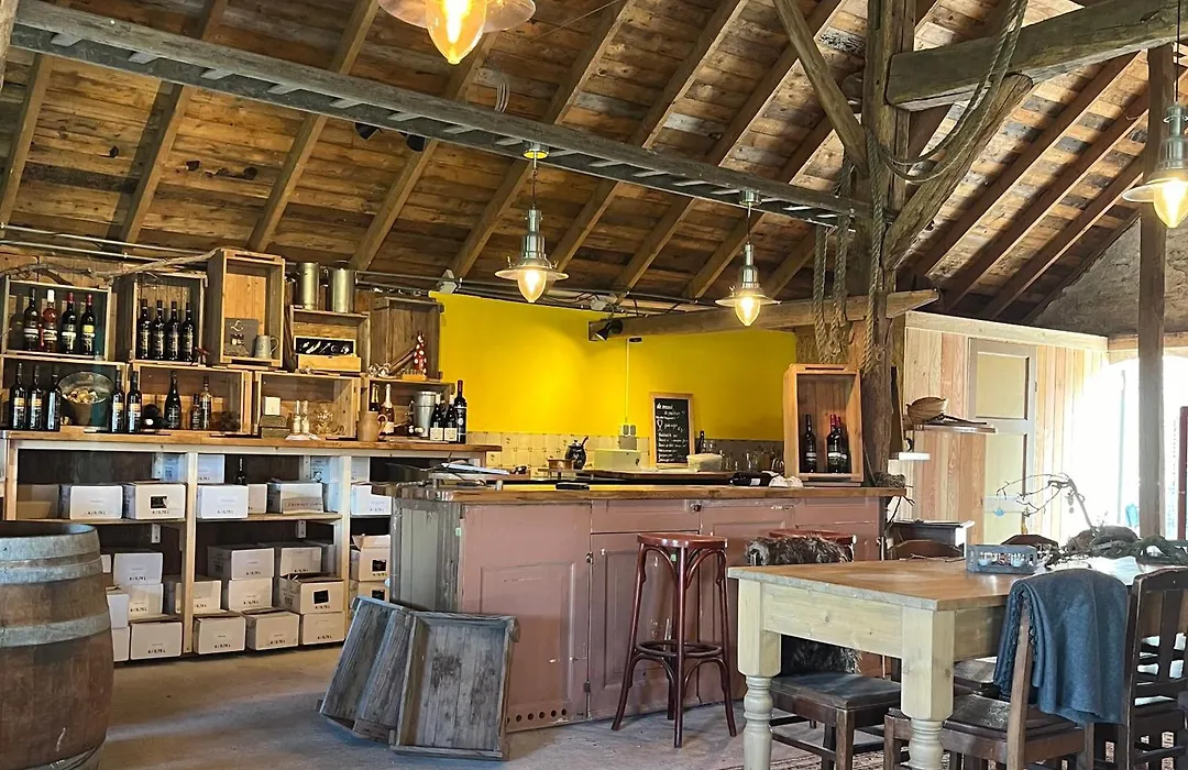 Erve Zonnehoeve B&B en Wijngaard-1