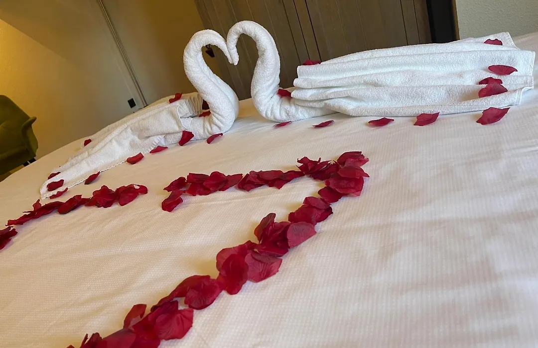 Lace Hotel-1