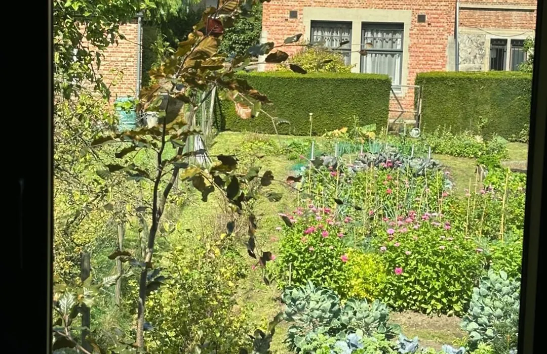 Nummer 151 Villastudios-1