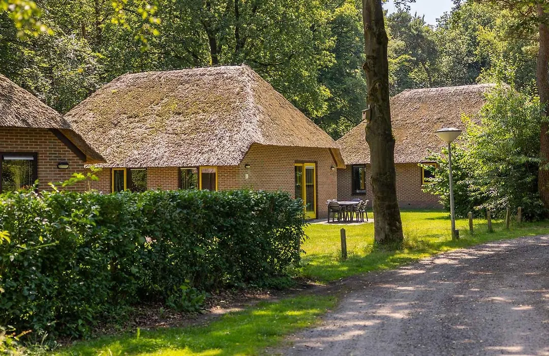 Molecaten Park De Leemkule-1