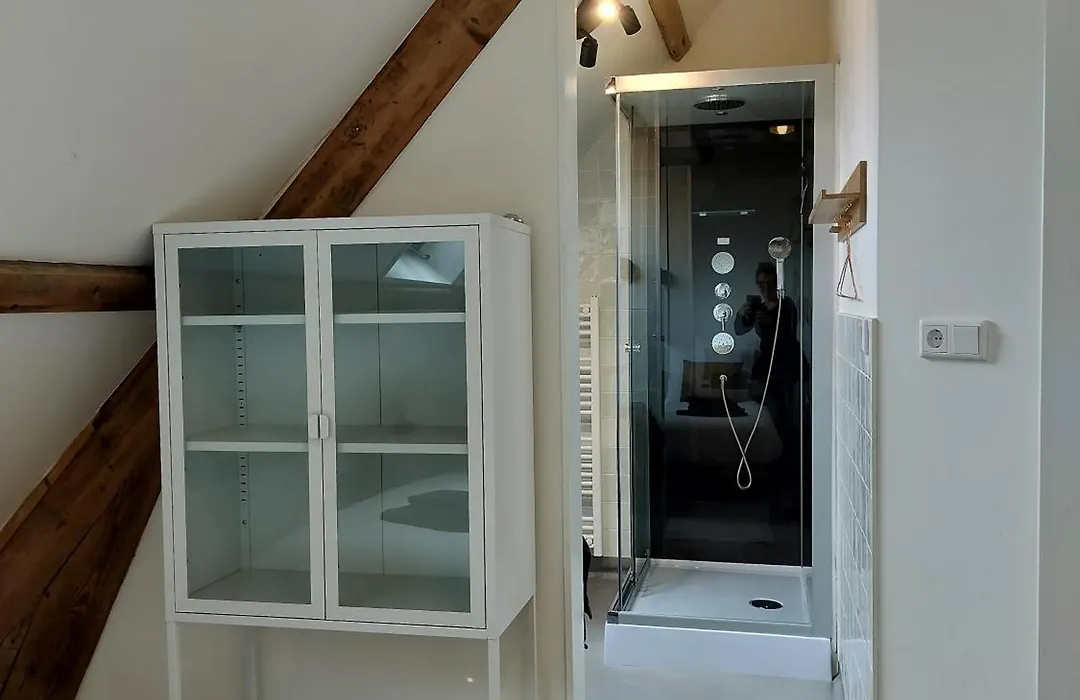 B&B 'Hof Baaiweg' met Barrelsauna-1