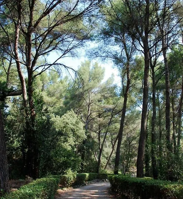 La Mazarine Aix En Provence-1