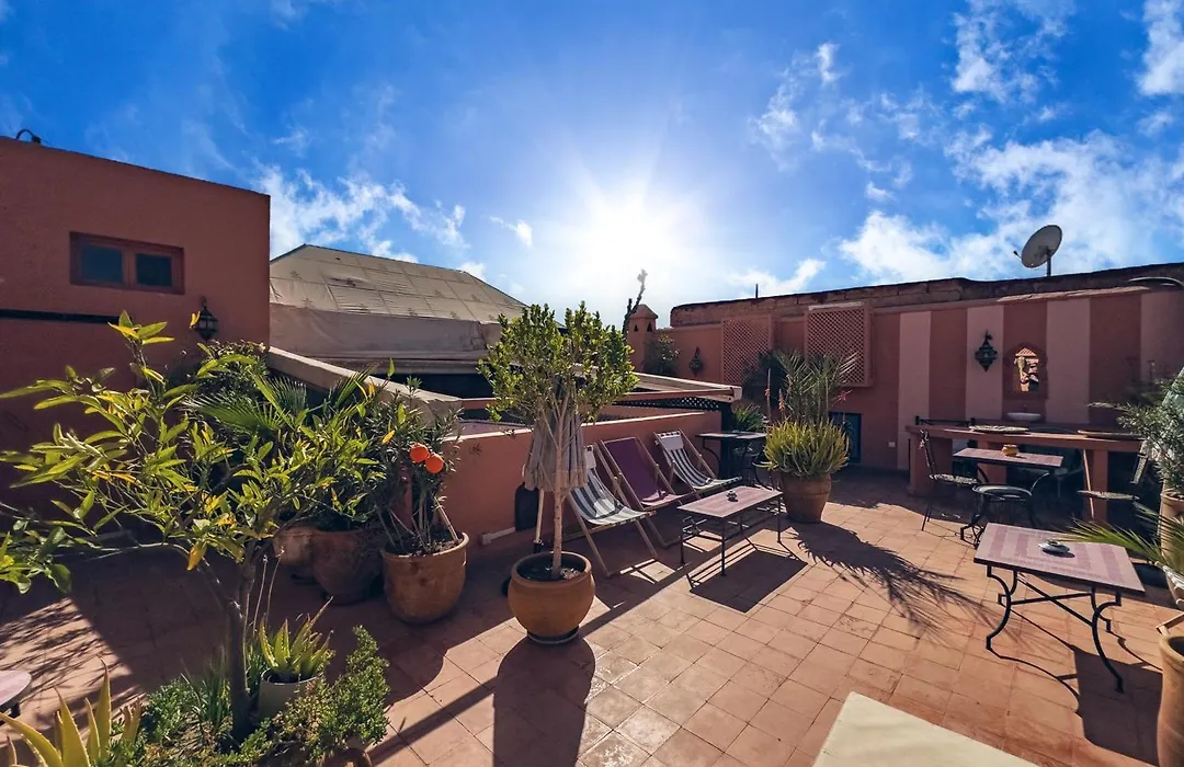 Riad Lauriers Blancs-1