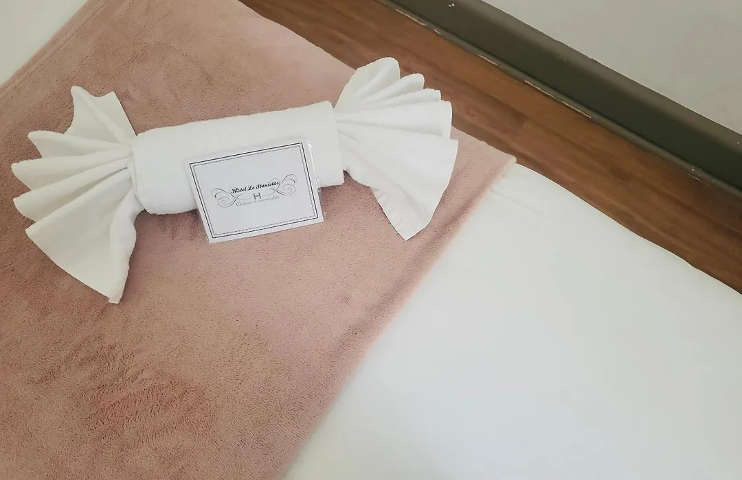 Hotel Le Stanislas-1