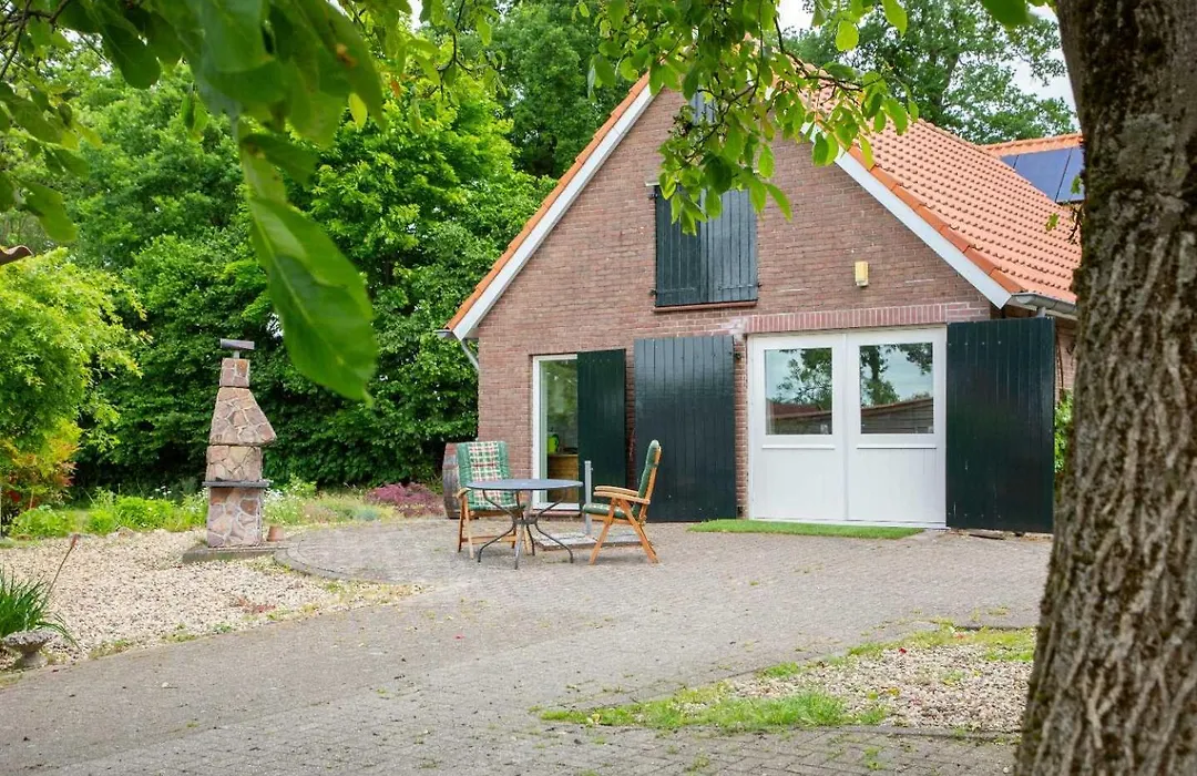 B&B Ruurlo Belle Rose-1