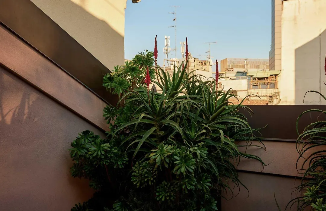 Straf, Milan, A Member Of Design Hotels-1