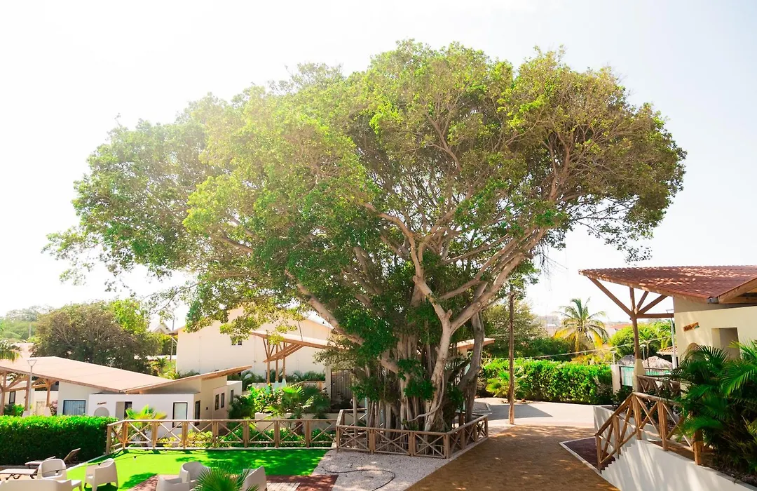 Malvales Resort-1