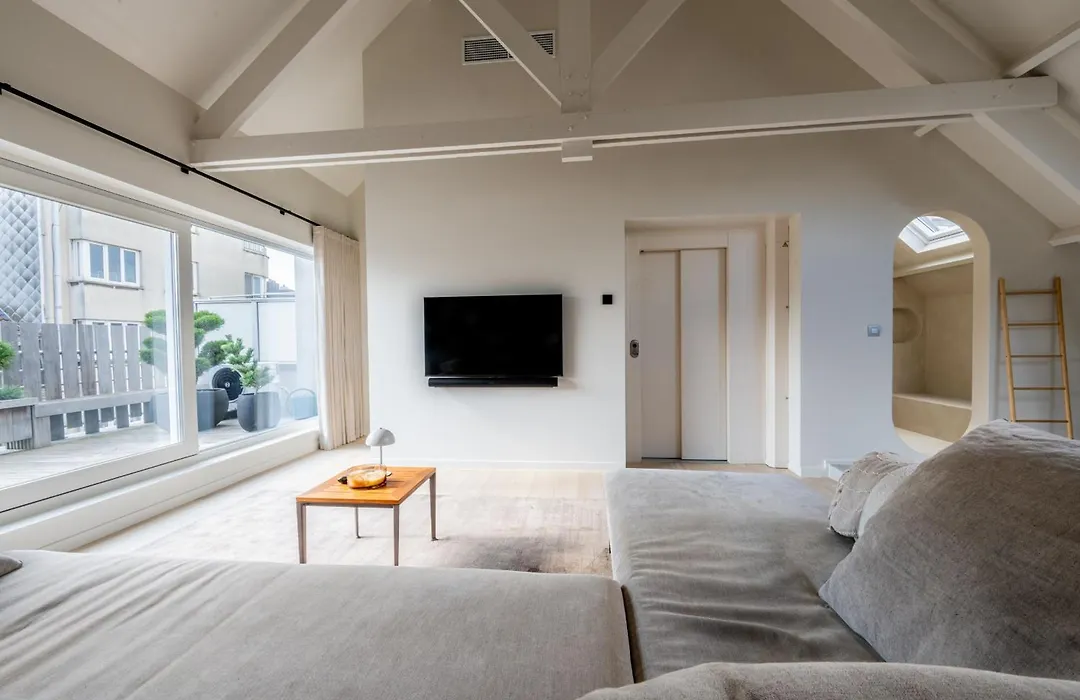Villa Euphrosina boutique verblijf met verwarmd zwembad, sauna, vlakbij het strand van Oostende-1