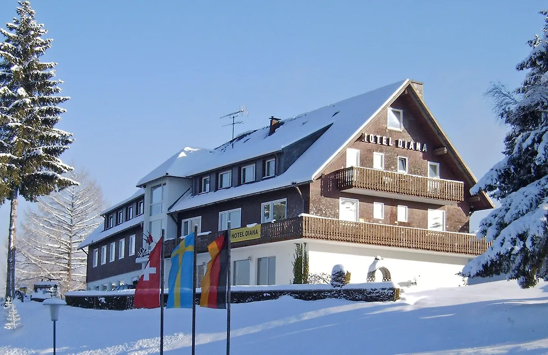 Hotel Diana-1