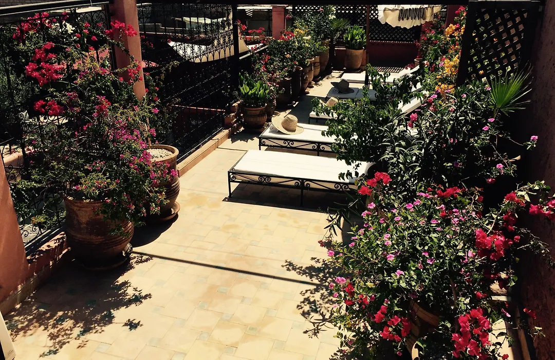Riad Jona-1