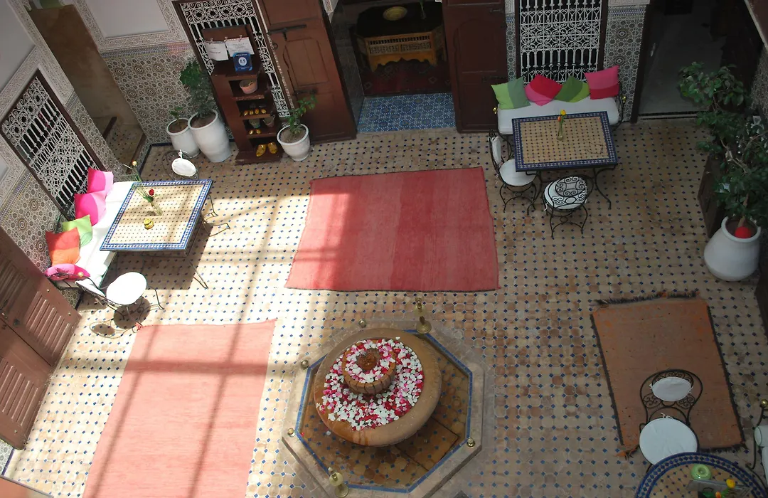 Riad Les Oliviers & Spa-1
