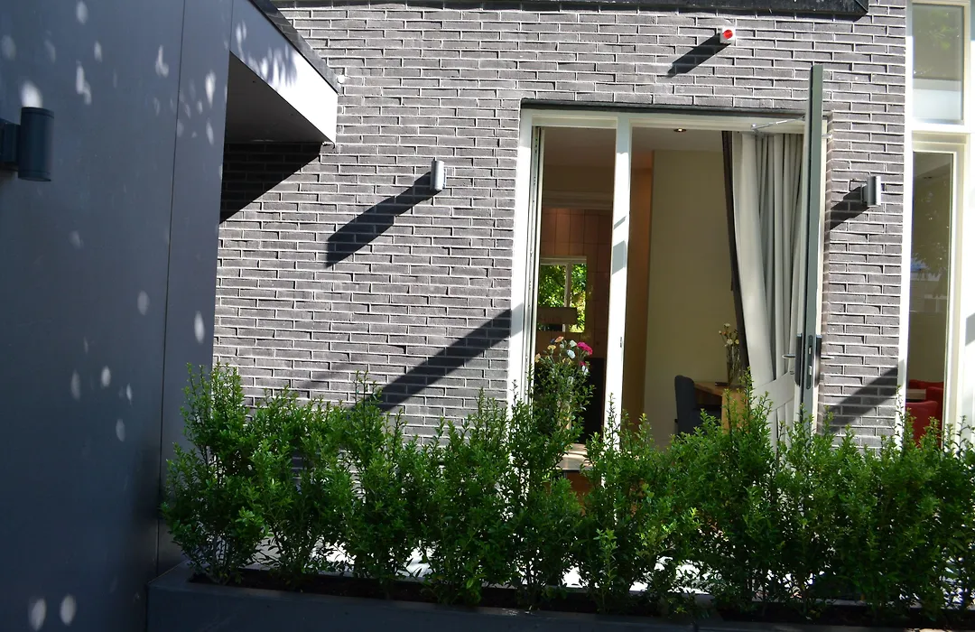 Alp Hotel-1