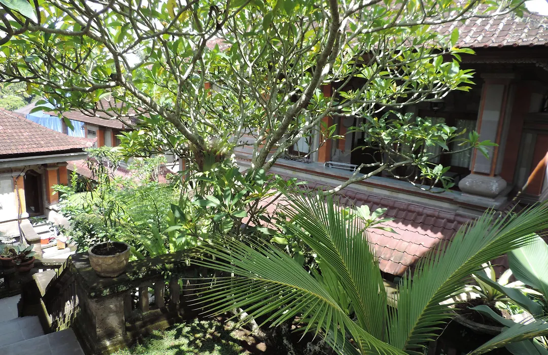 Nick'S Hidden Cottages-1