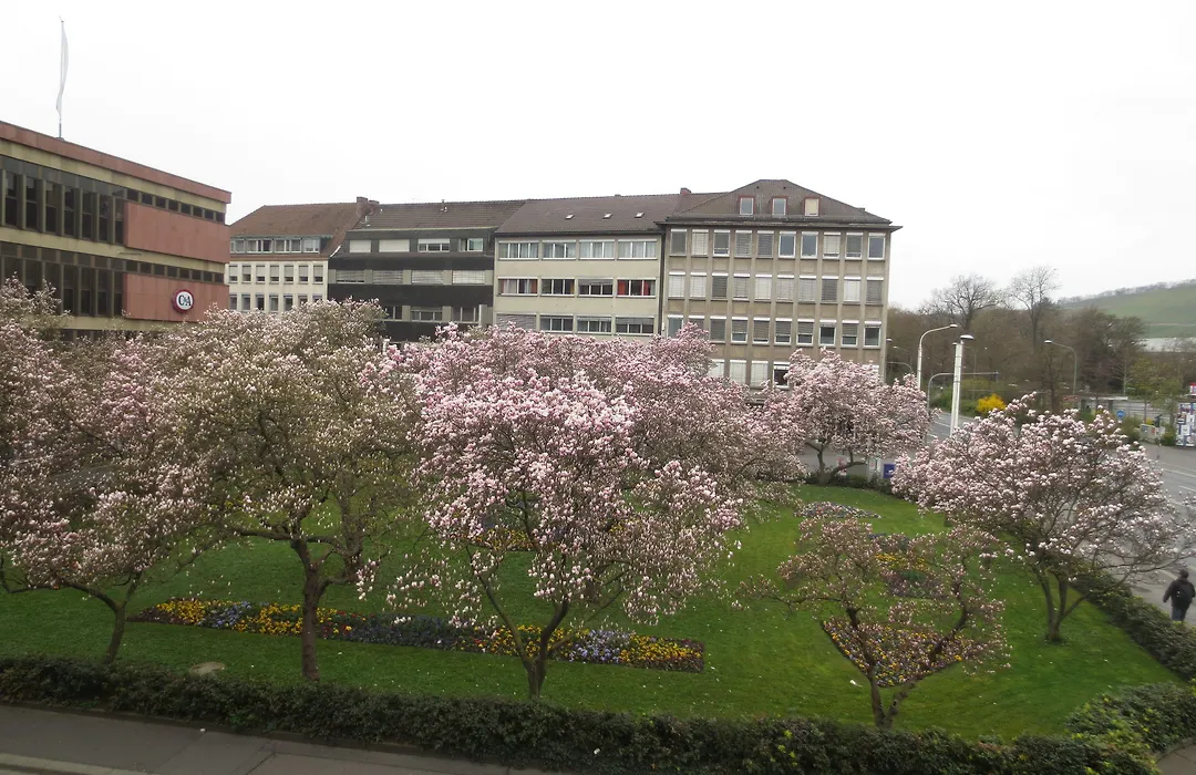 Hotel Regina-1