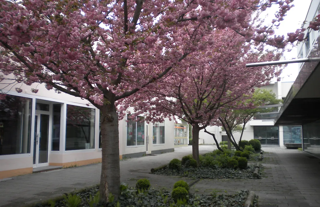 Hotel Lindleinsmuehle-1