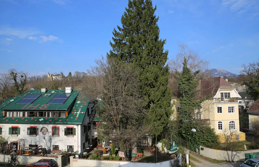 Haus Wartenberg-1