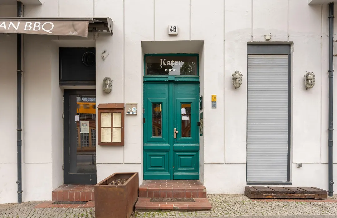 Numa Berlin Kater-1