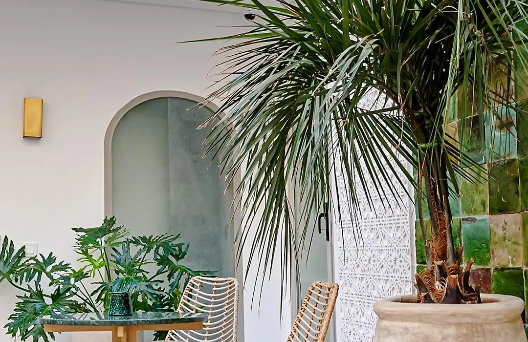 Riad Dar Bayane-1