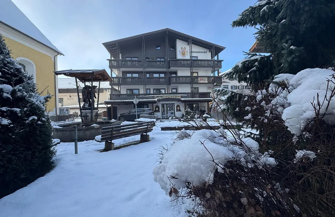 Hotel Mesnerwirt - Zentrumslage-1