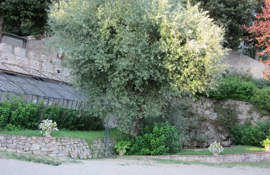 Villa Le Fontanelle-1