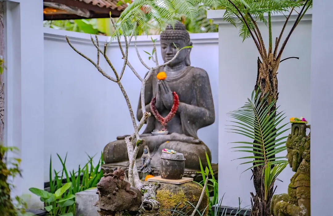 Imagine Bali-1