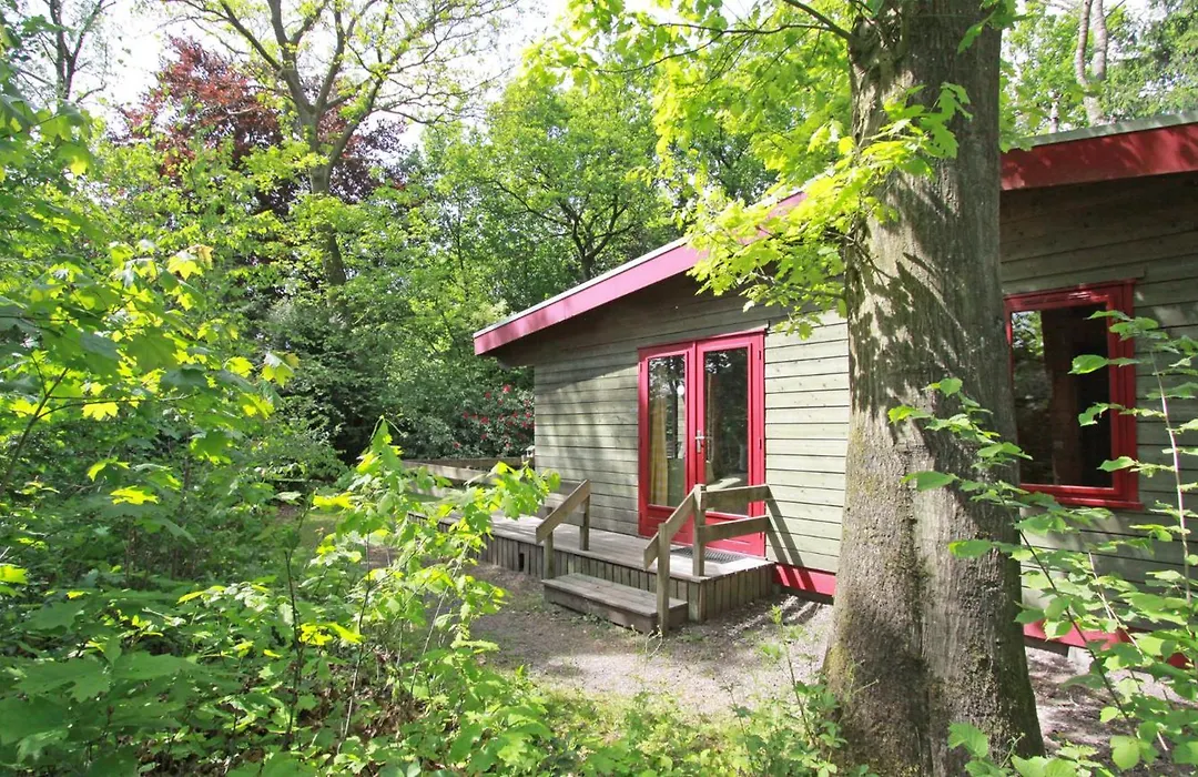 De Roek Vakantiebungalows-1