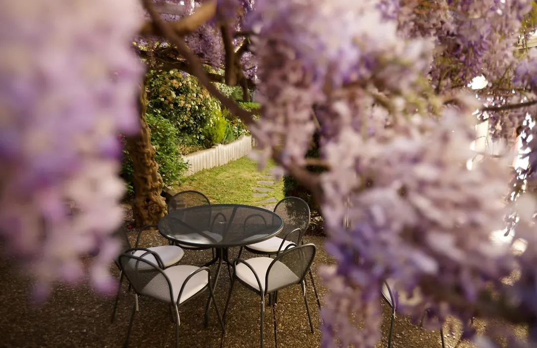 Logis Hotel Beausejour Colmar-1