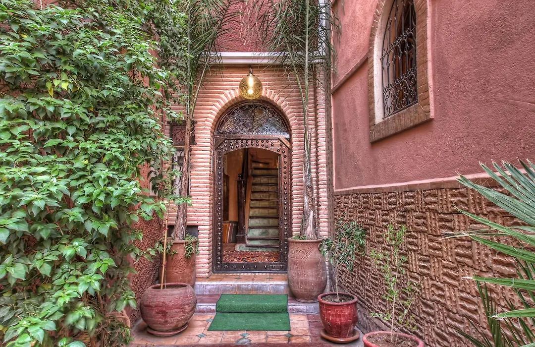 Riad Elizzi-1