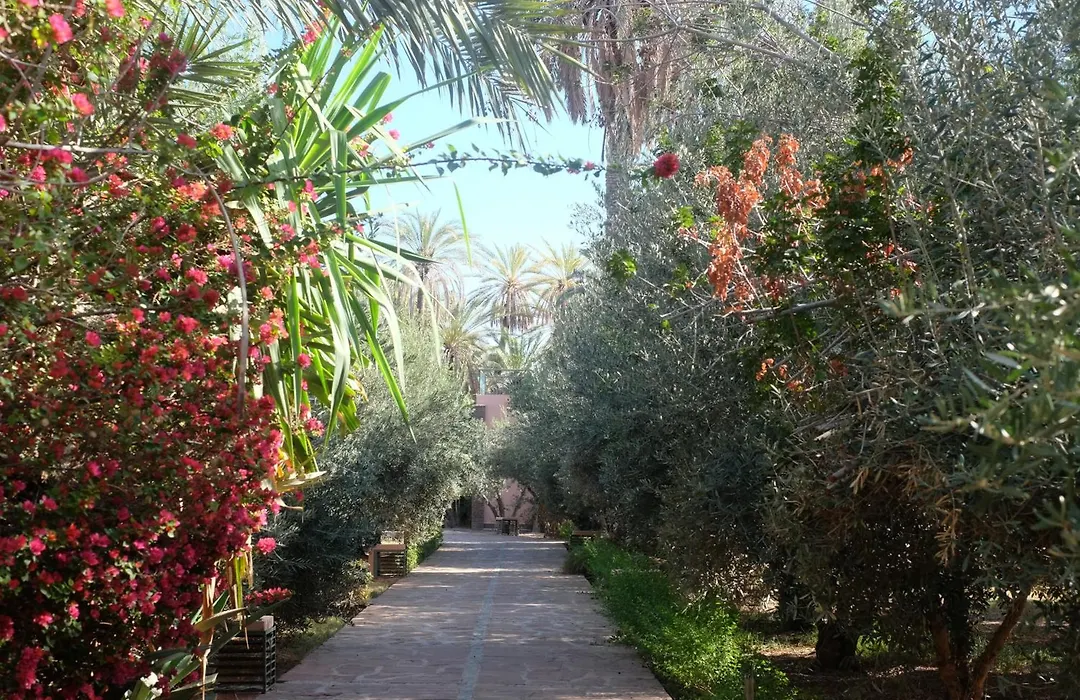 Riad Villa Amsterdam Palmeraie-1