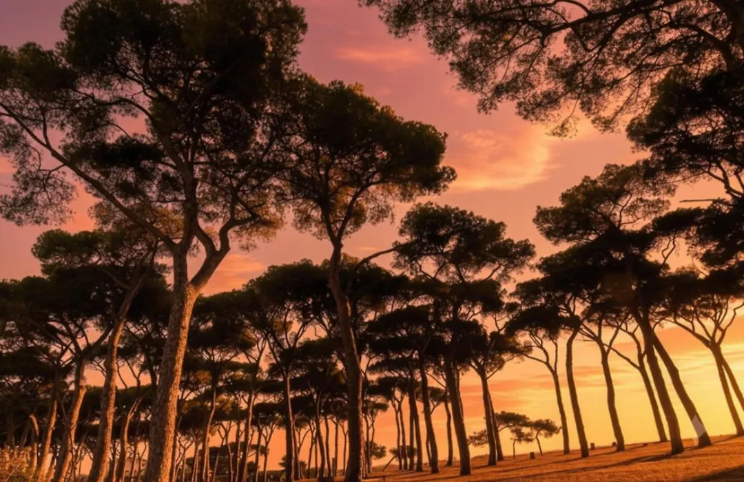 Pinewood Hotel Rome-1