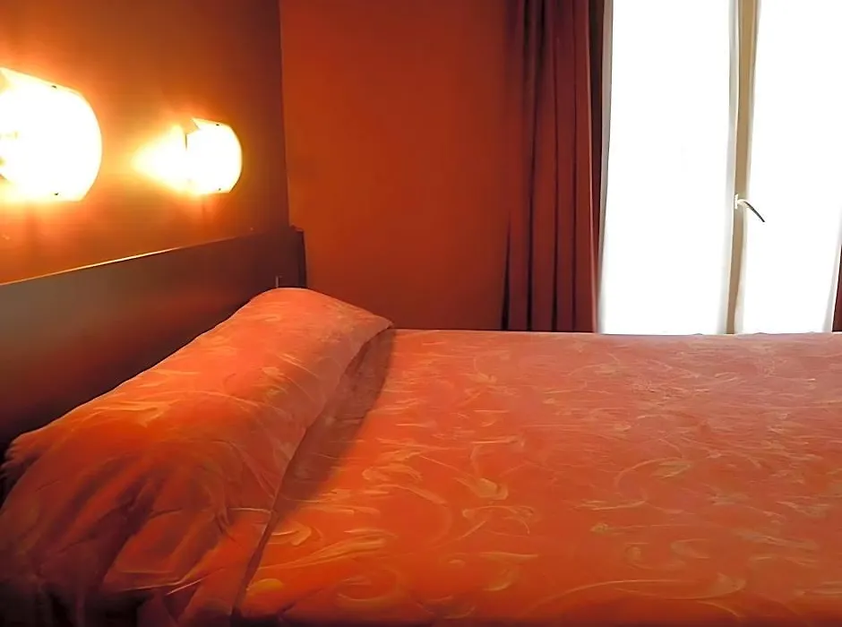 Camelia International-1