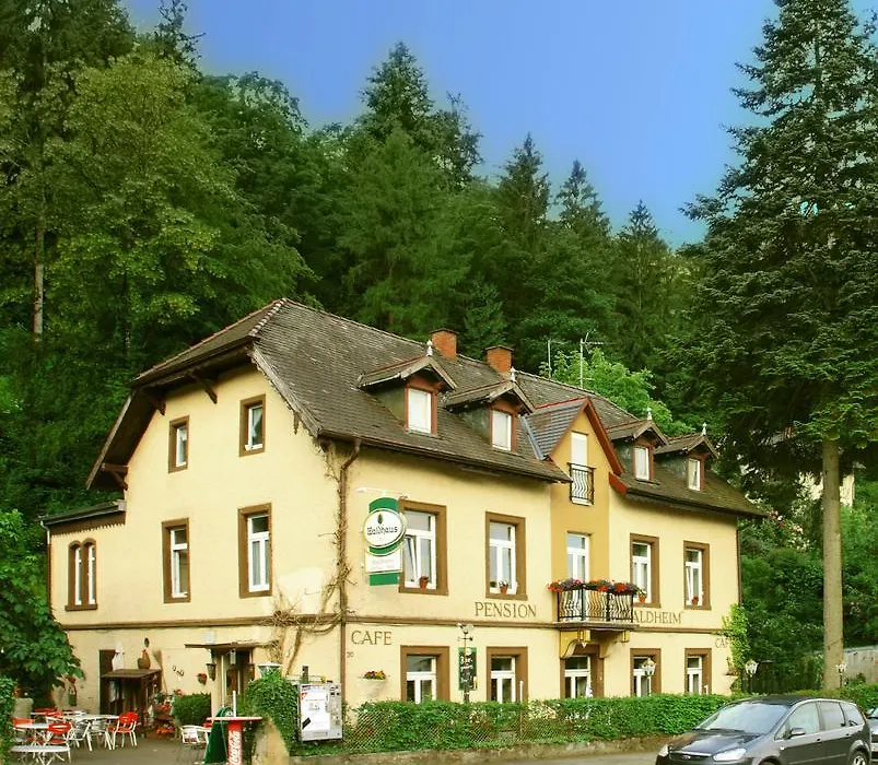 Pension Waldheim-1