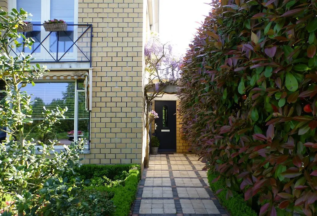 B&B Le Bon Vivant Eindhoven-1